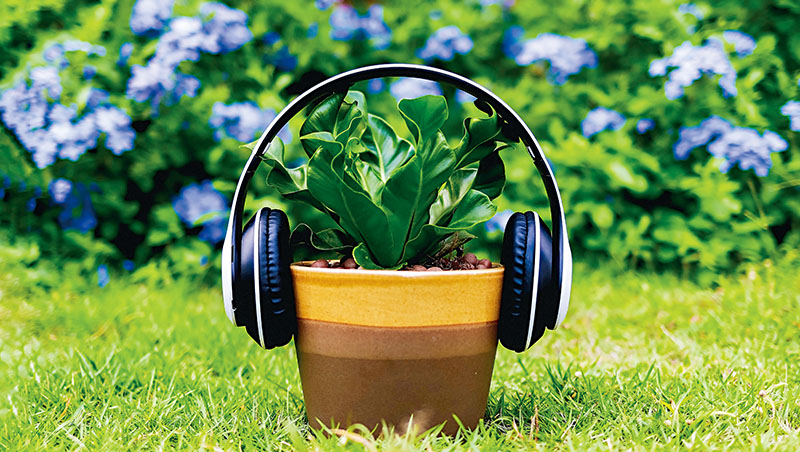 疫情中人們愛上種花種草，也開始給植物聽音樂，希望促進它們生長